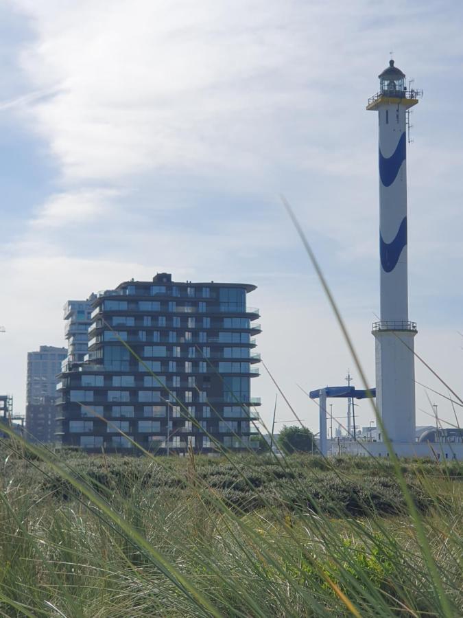 Central Park Tower Sea View Residence With Pool And Gym أوستيند المظهر الخارجي الصورة